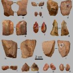Strumenti litici in radiolarite e riolite - Foto S. Daffara